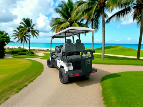 KleverOmni-6: New 6-Seat Electric Cart (4+2, LiFePO4, Lifted)