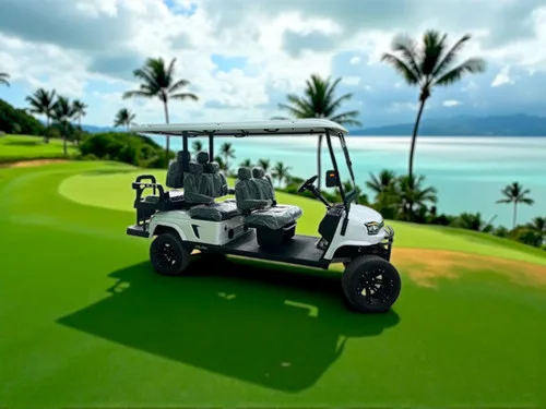 KleverOmni-6: New 6-Seat Electric Cart (4+2, LiFePO4, Lifted)